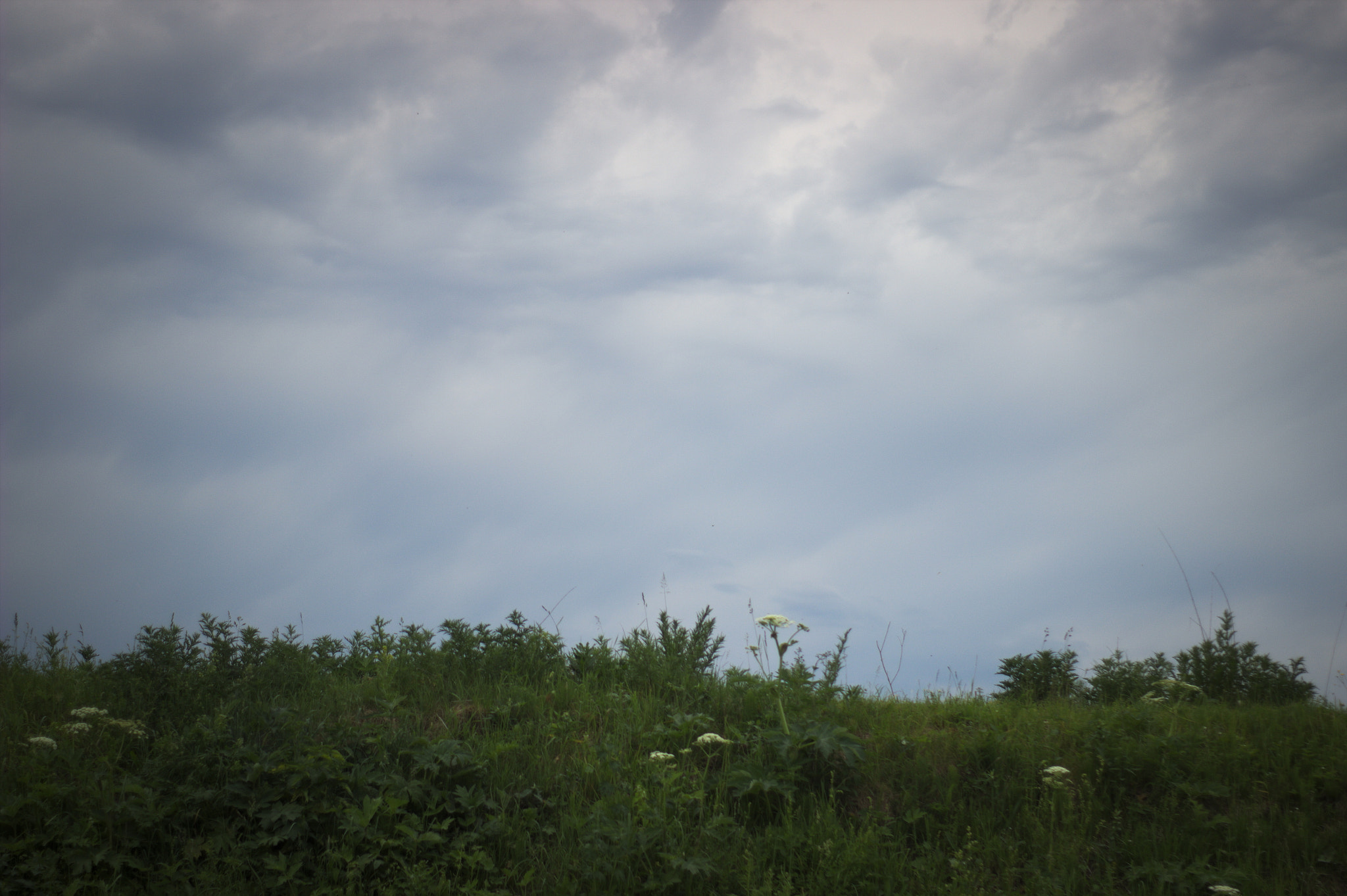 Canon 50mm sample photo. Img photography