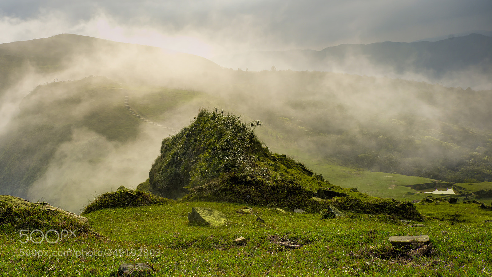 Fujifilm X-T2 sample photo. Foggy hill photography