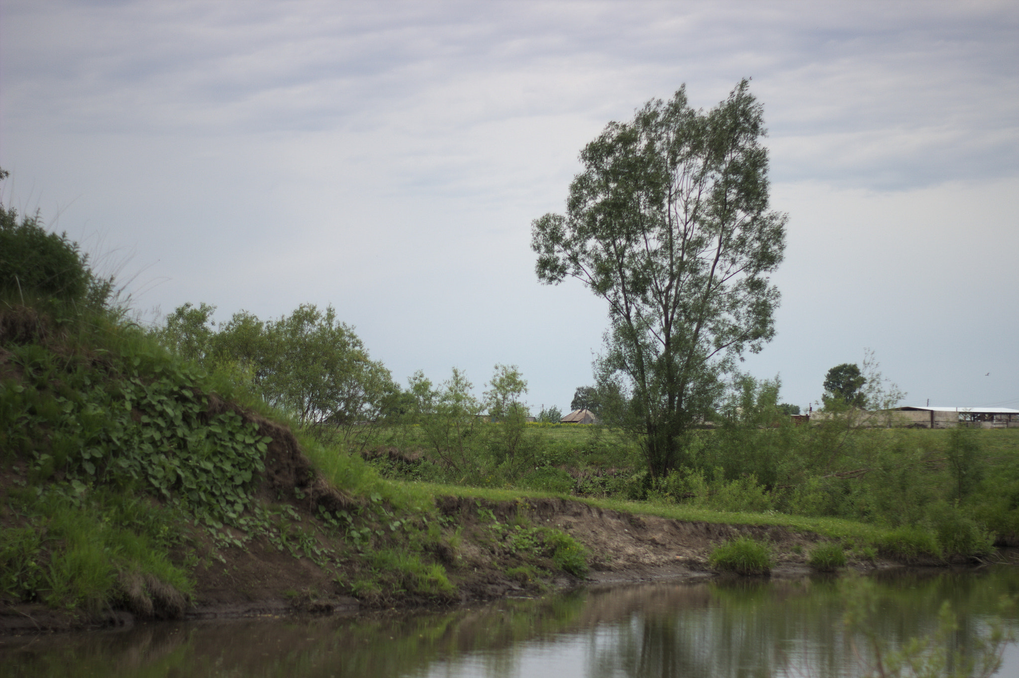 Canon 50mm sample photo. Img photography