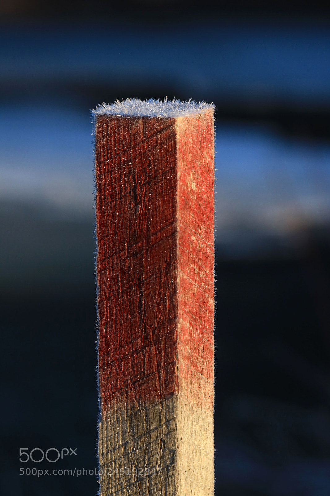 Canon EOS 750D (EOS Rebel T6i / EOS Kiss X8i) sample photo. Frost on a post photography