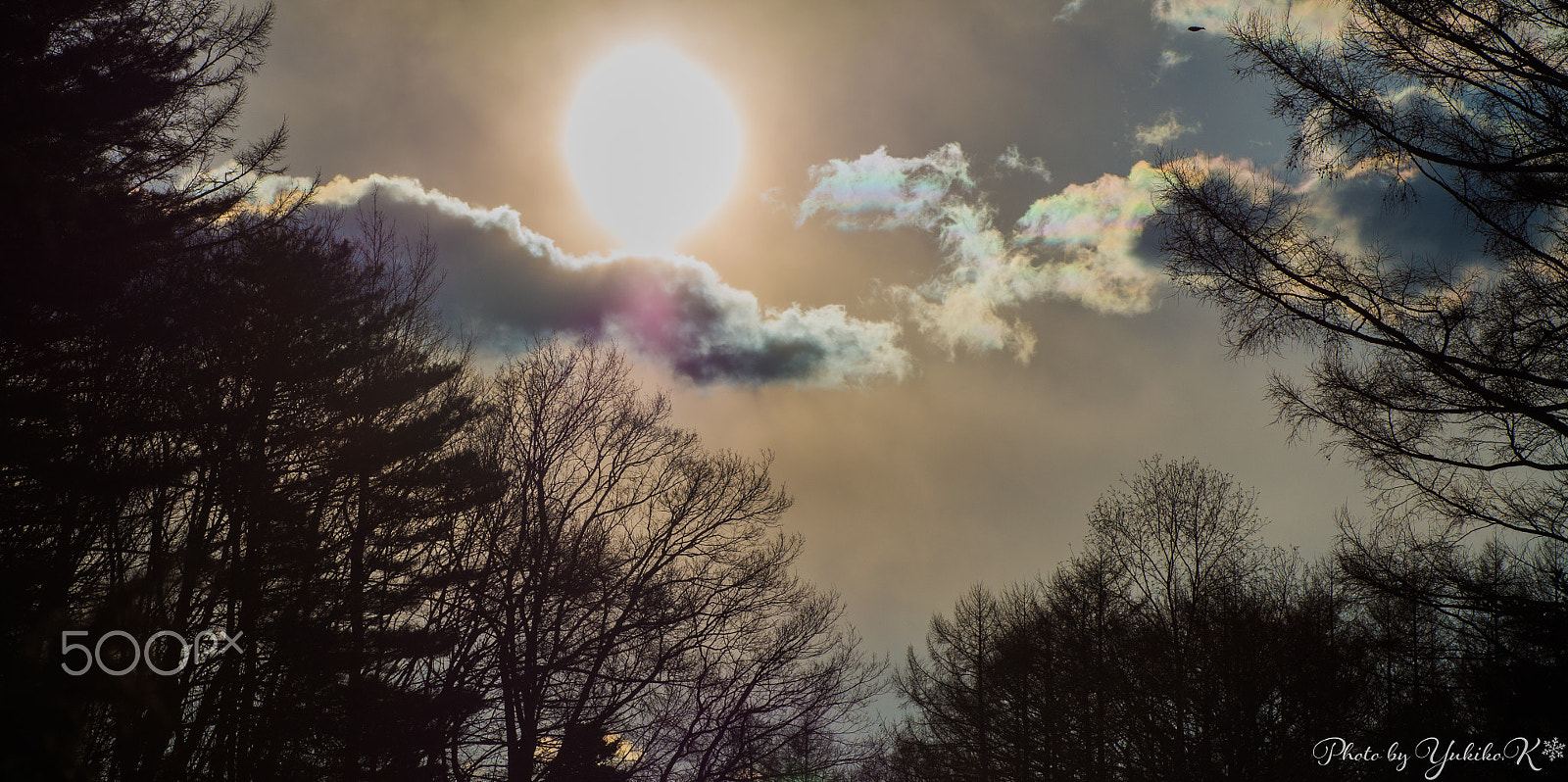 Pentax K-01 sample photo. Winter morning photography