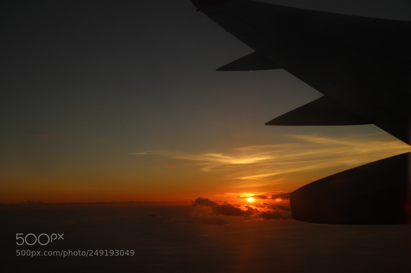 Canon EOS 600D (Rebel EOS T3i / EOS Kiss X5) sample photo. Flying photography