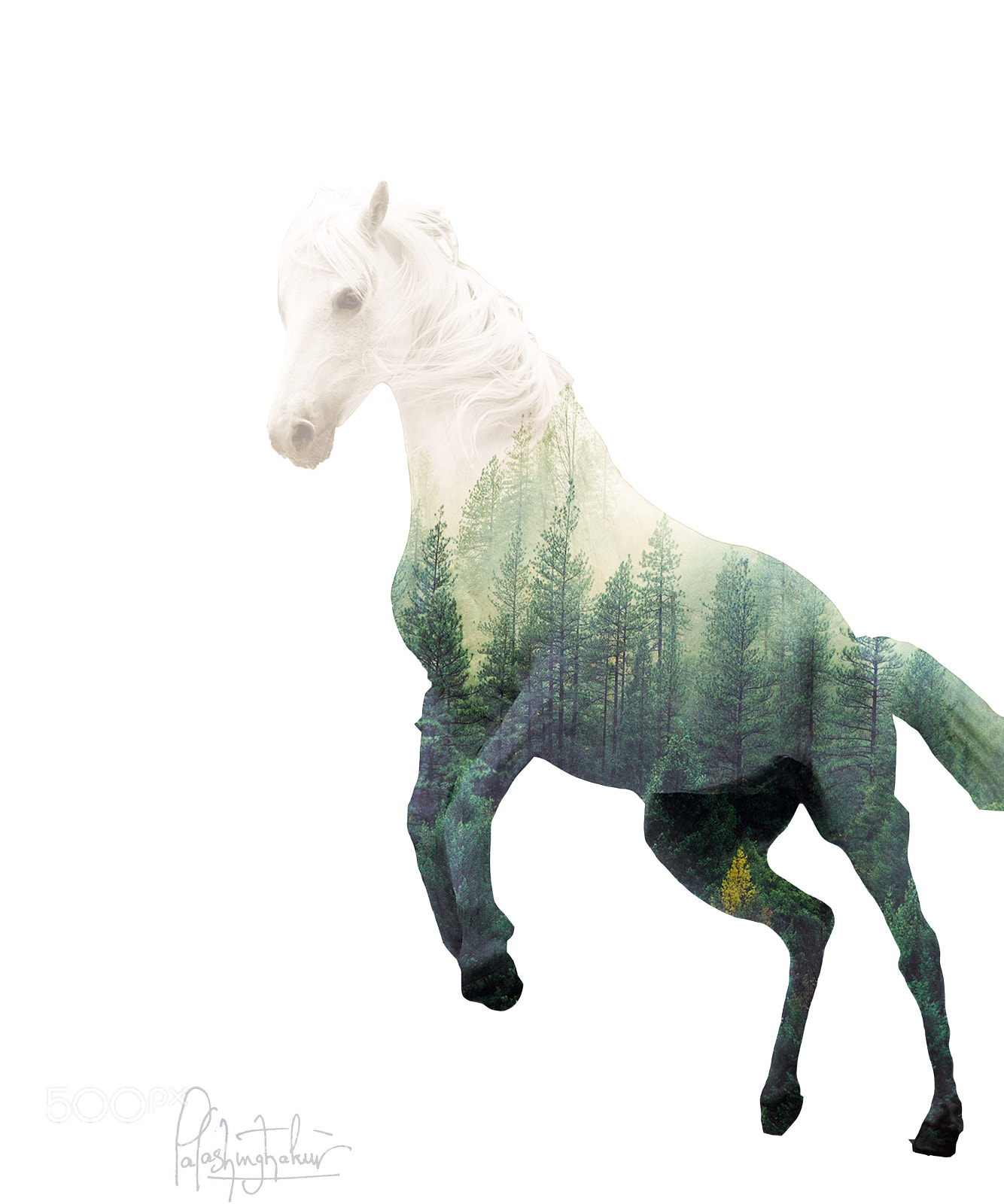 Nikon D7100 sample photo. Horse of forest photography
