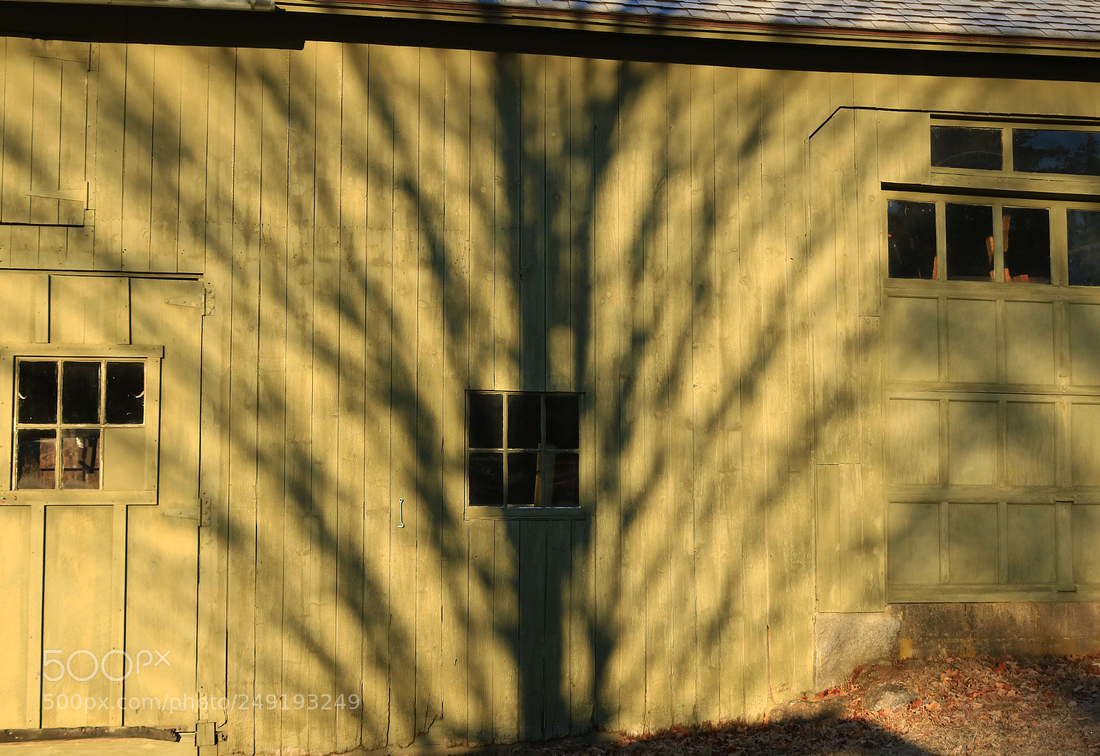 Canon EOS 750D (EOS Rebel T6i / EOS Kiss X8i) sample photo. Tree shadows photography