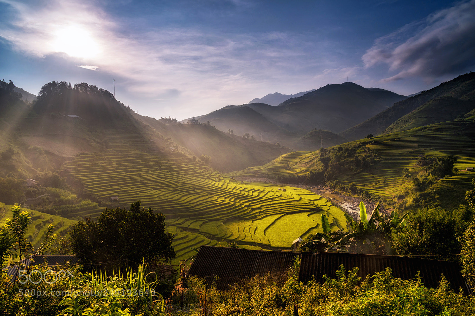 Sony a6500 sample photo. Andscape of rice fields photography