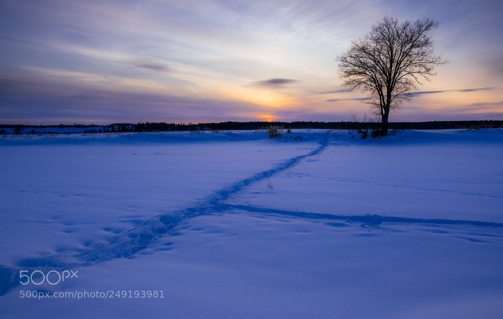 Nikon D5500 sample photo. Twilight photography