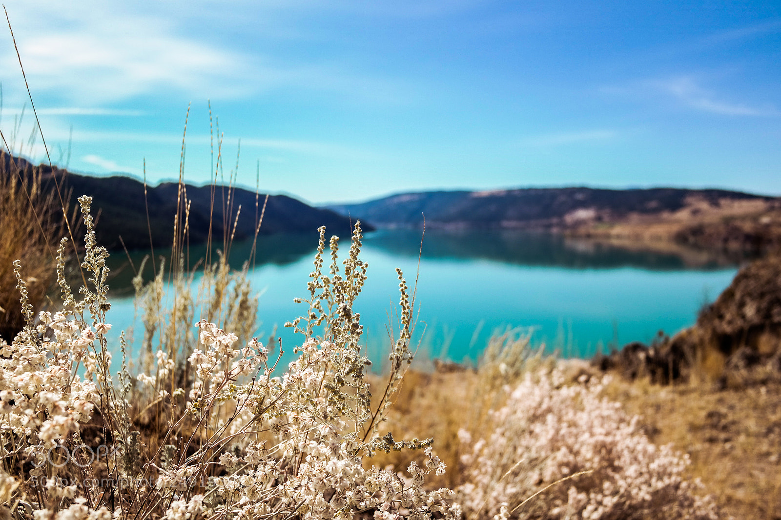 Samsung NX300 sample photo. Kalamalka lake photography