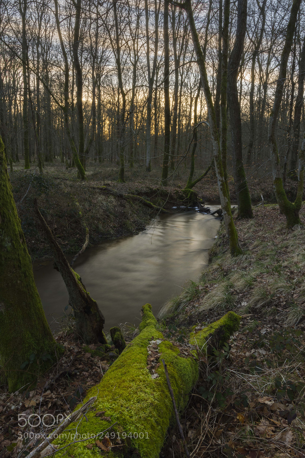 Nikon D7200 sample photo. L'ecaillon photography