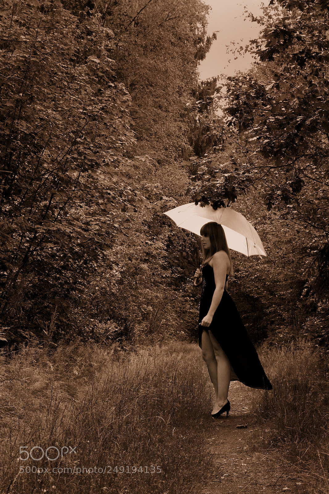 Canon EOS 7D sample photo. Rain photography