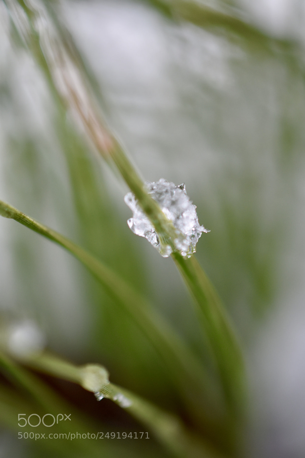 Nikon D3400 sample photo. Untitled photography