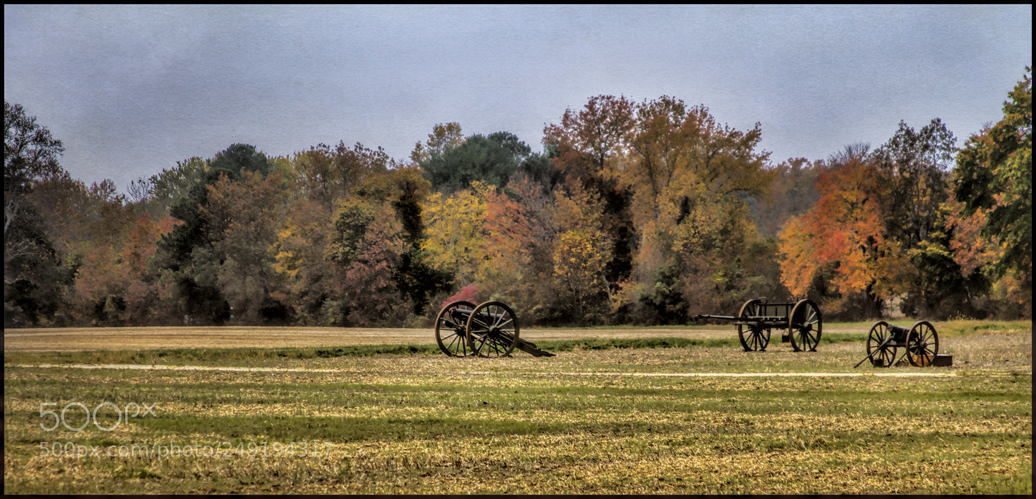 Canon EOS 7D sample photo. In opposition photography