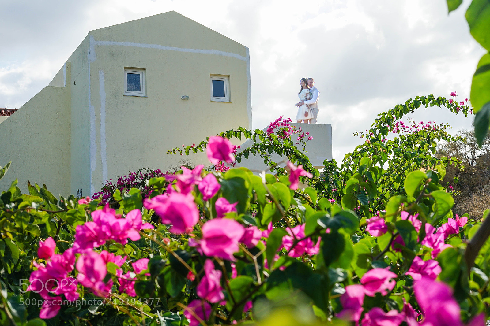 Sony a7 II sample photo. Dsc photography
