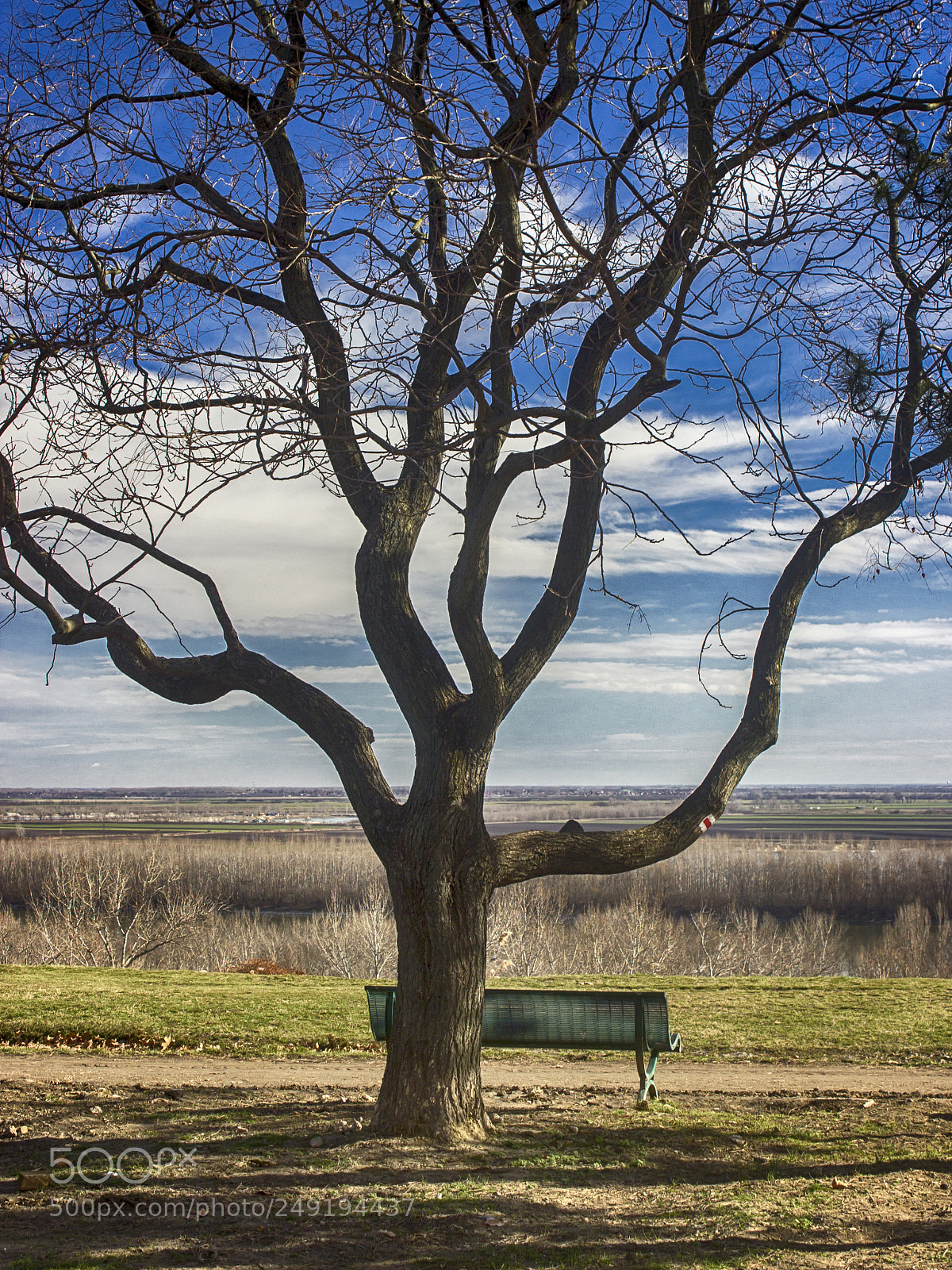 Canon EOS 600D (Rebel EOS T3i / EOS Kiss X5) sample photo. Here to relax ... photography