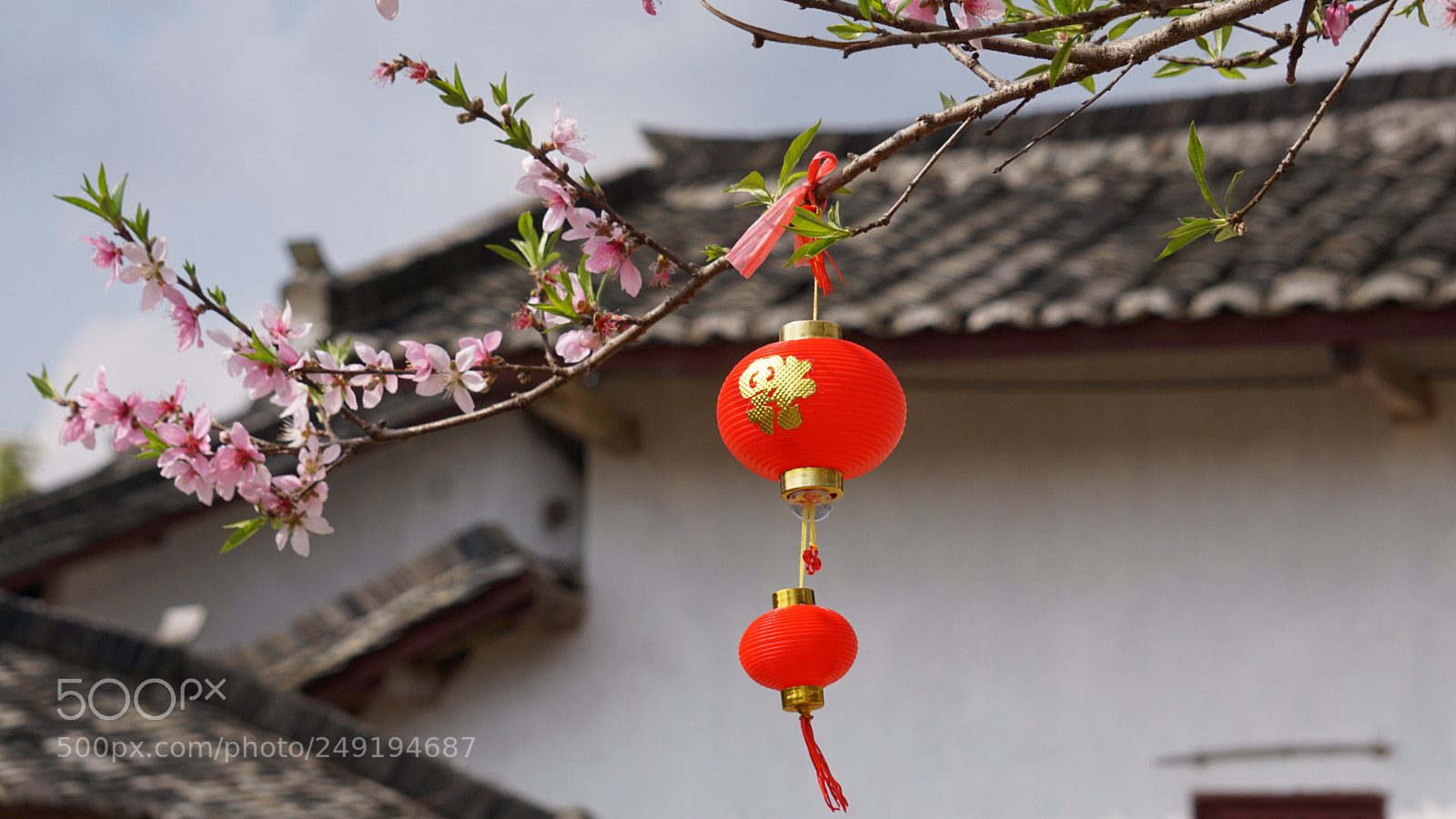 Sony a6000 sample photo. Spring photography