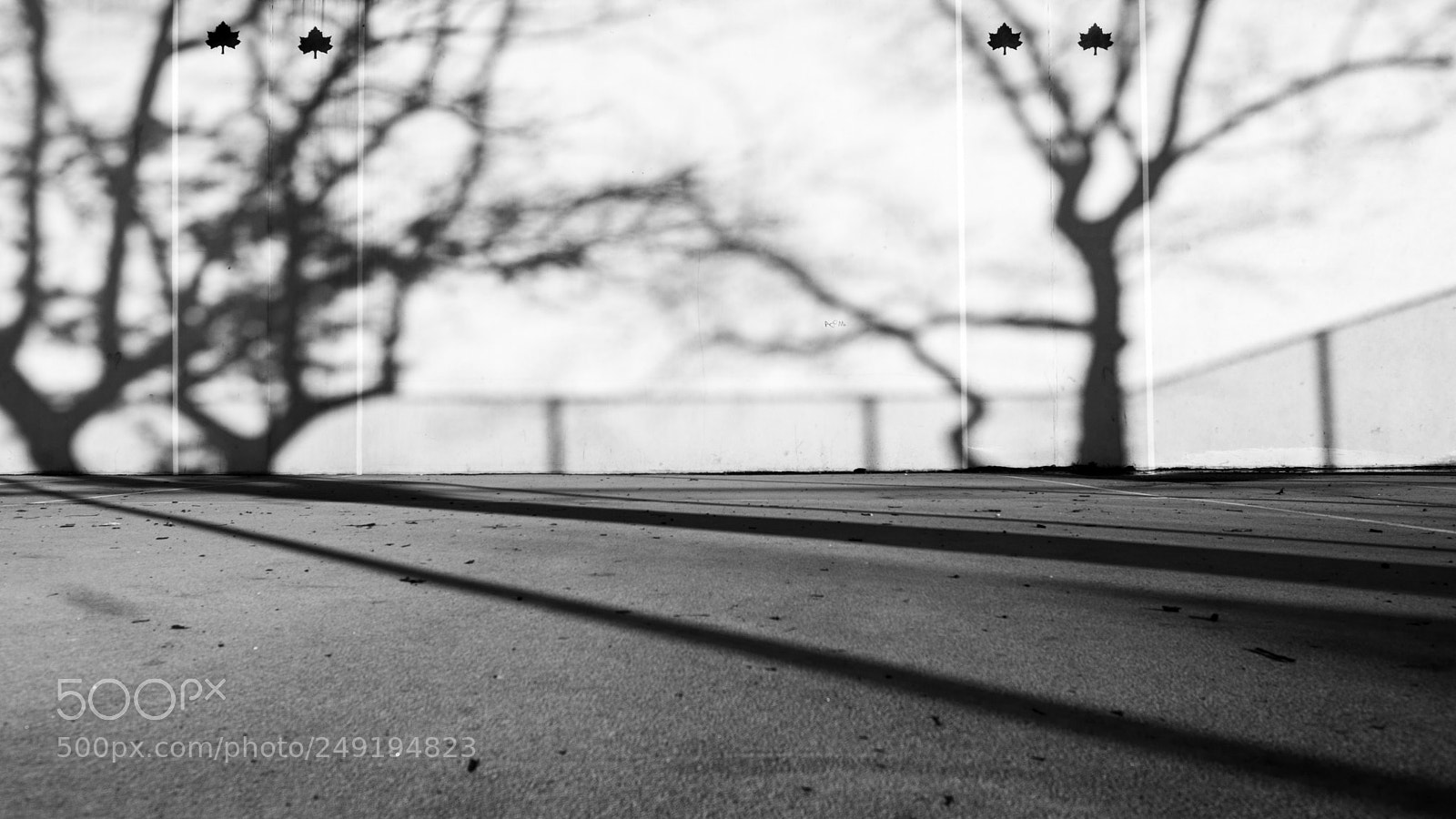 Fujifilm X-T2 sample photo. Untitled photography