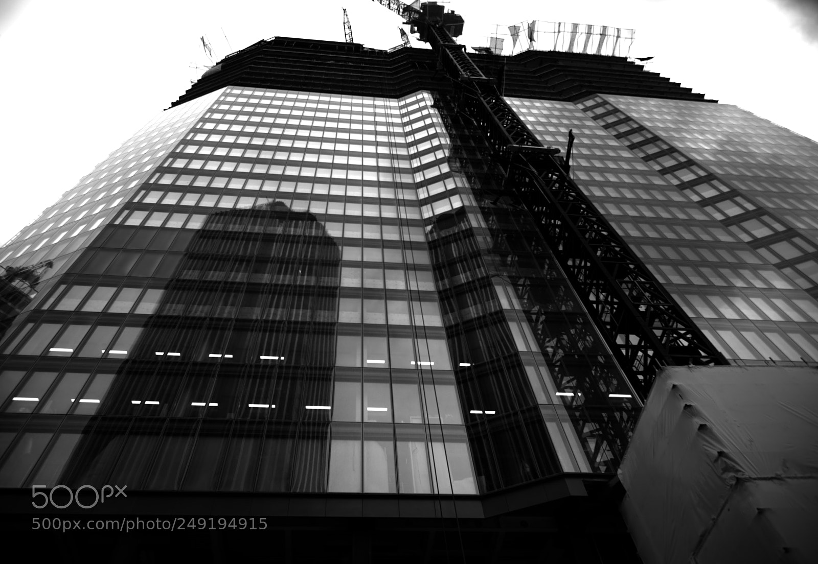Nikon D810 sample photo. Working at the top photography