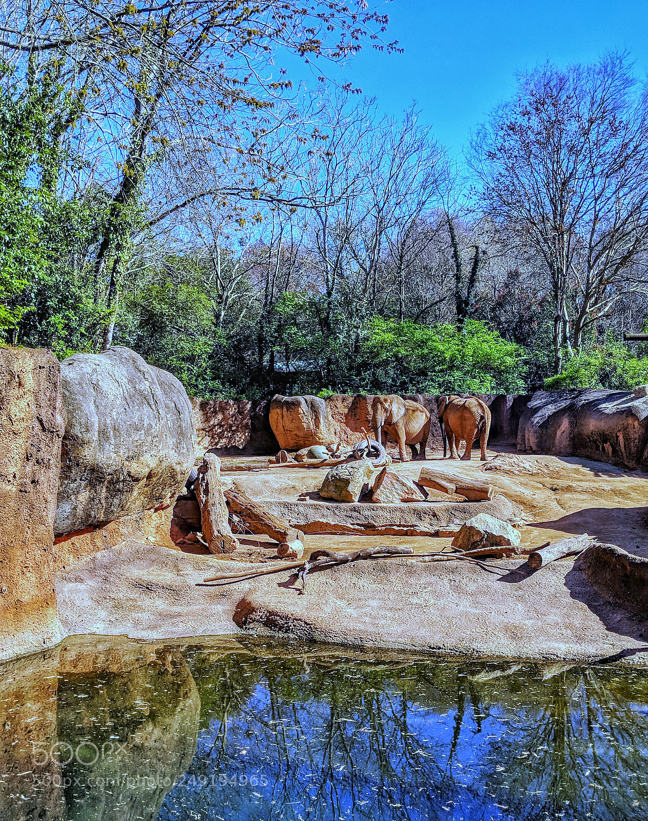 Google Pixel 2 sample photo. Jumbo pals photography