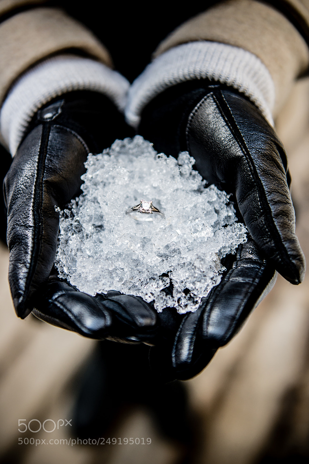 Nikon D610 sample photo. Ring in the snow photography