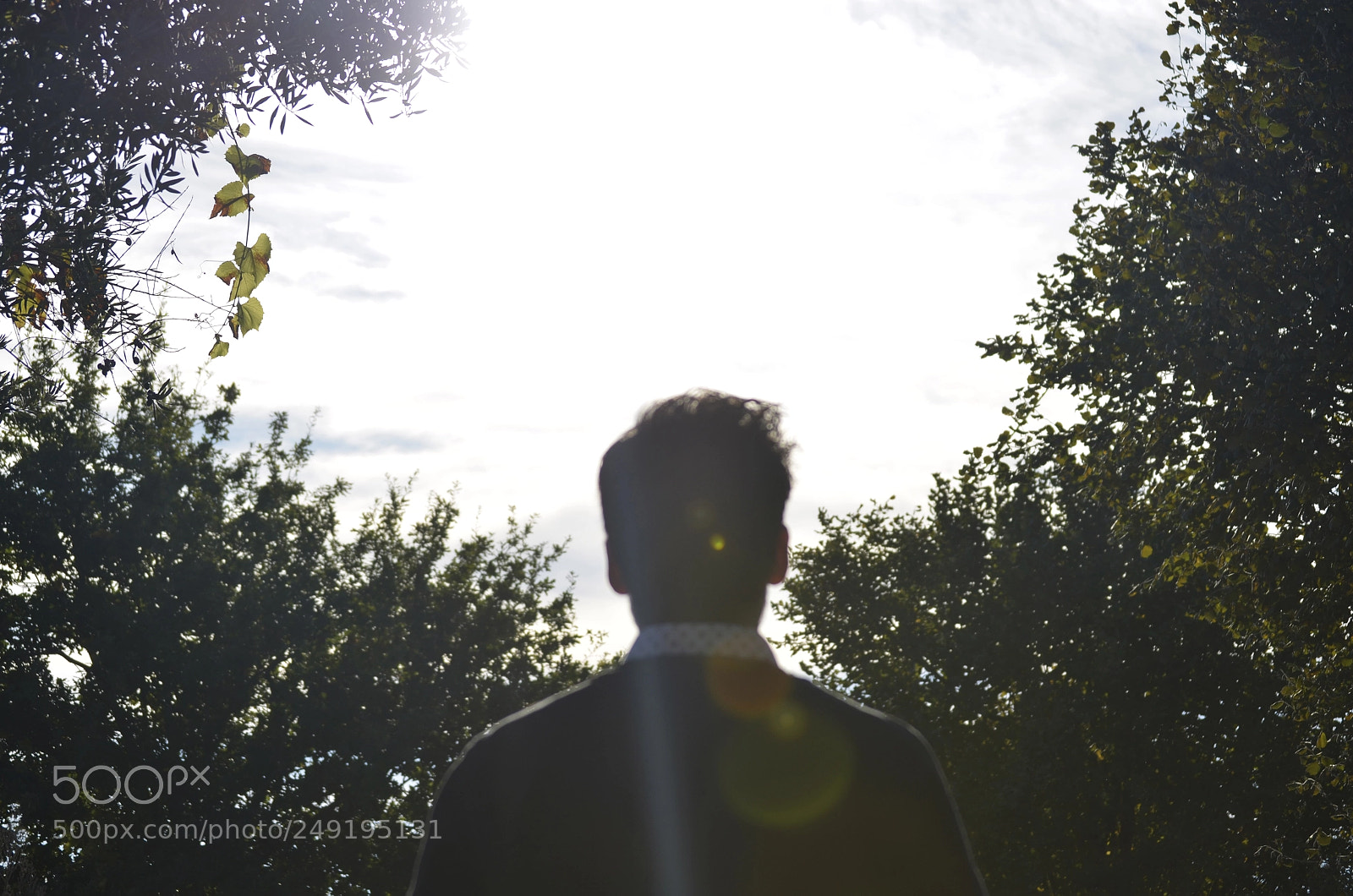 Nikon D5100 sample photo. Favourite picture photography