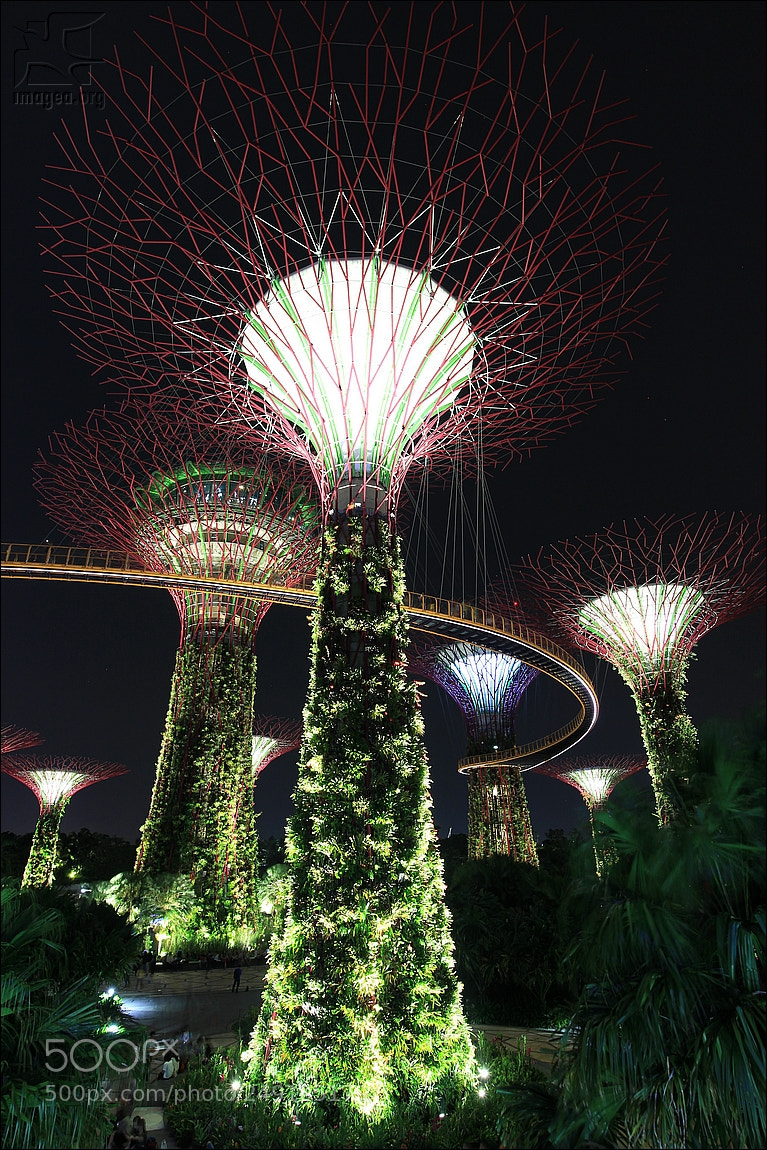 Canon EOS M sample photo. Gardens by the bay photography