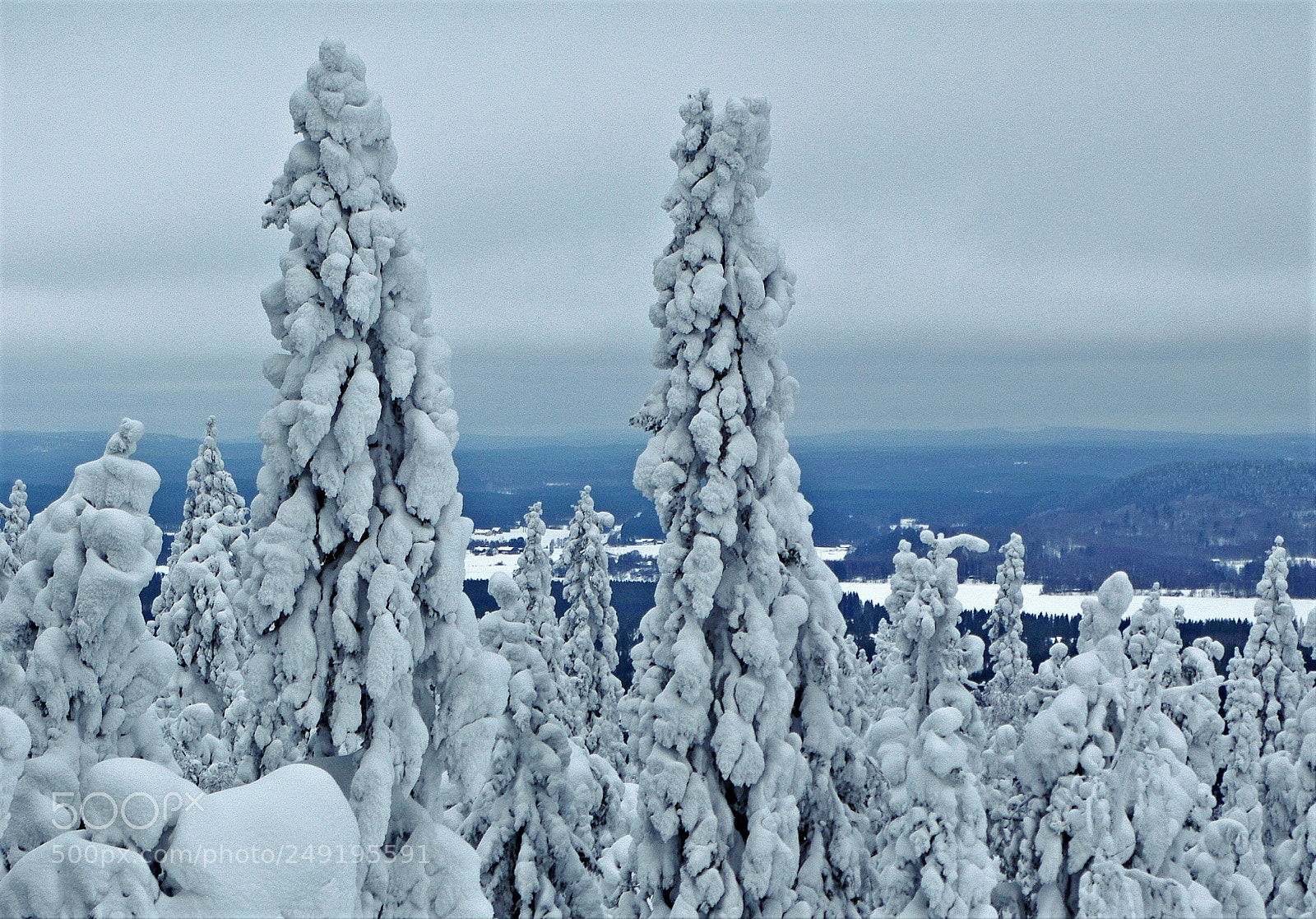 Pentax K-7 sample photo. On the top of photography