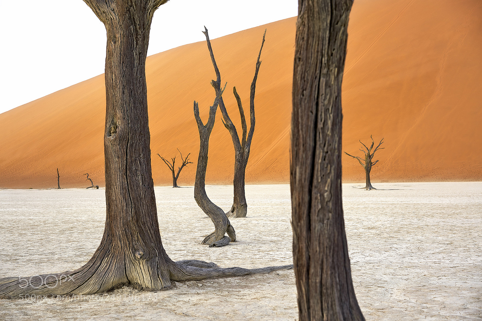 Sony a7R II sample photo. Deadvlei, namibia photography