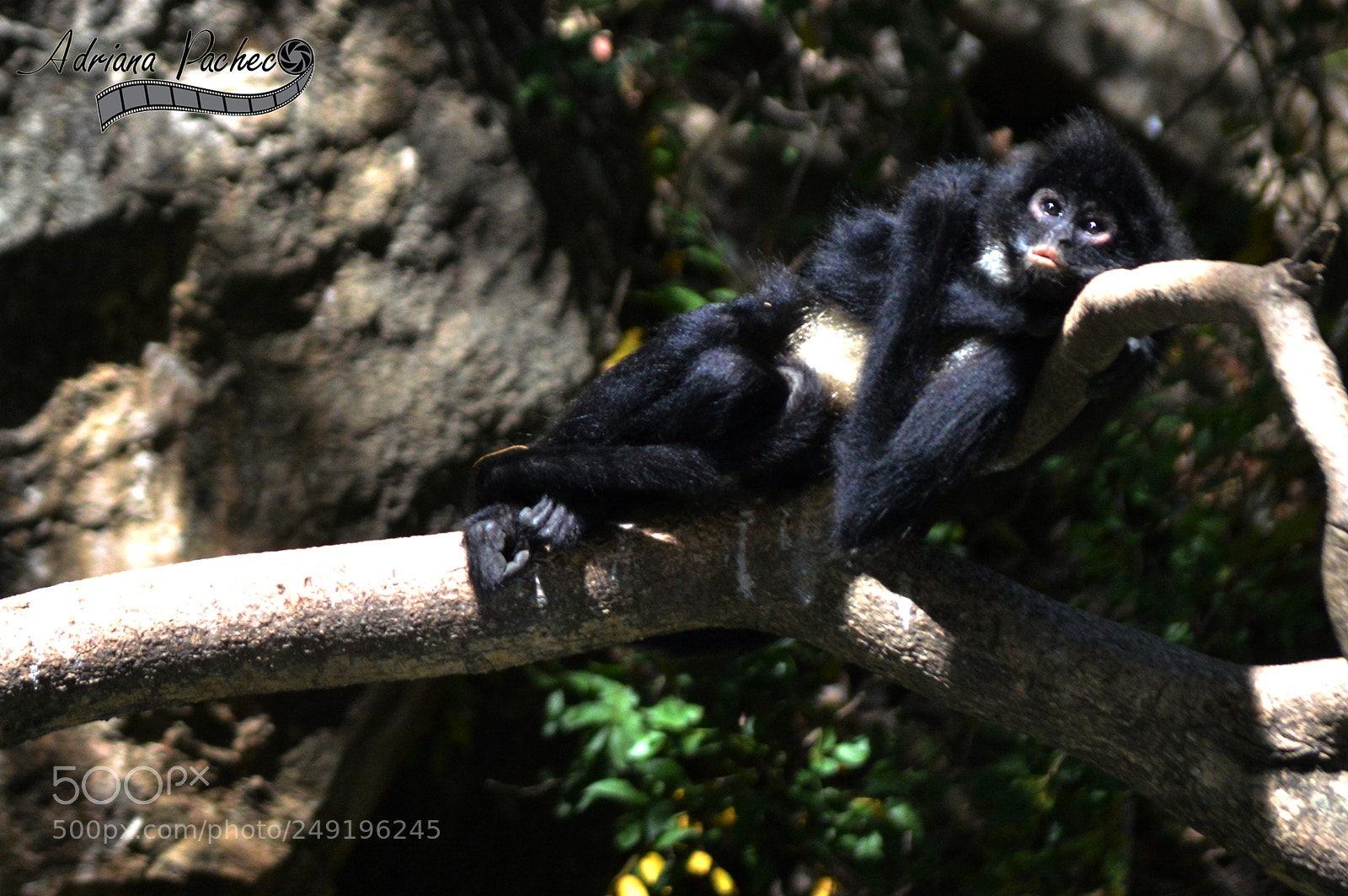 Nikon D3200 sample photo. Chiapas photography