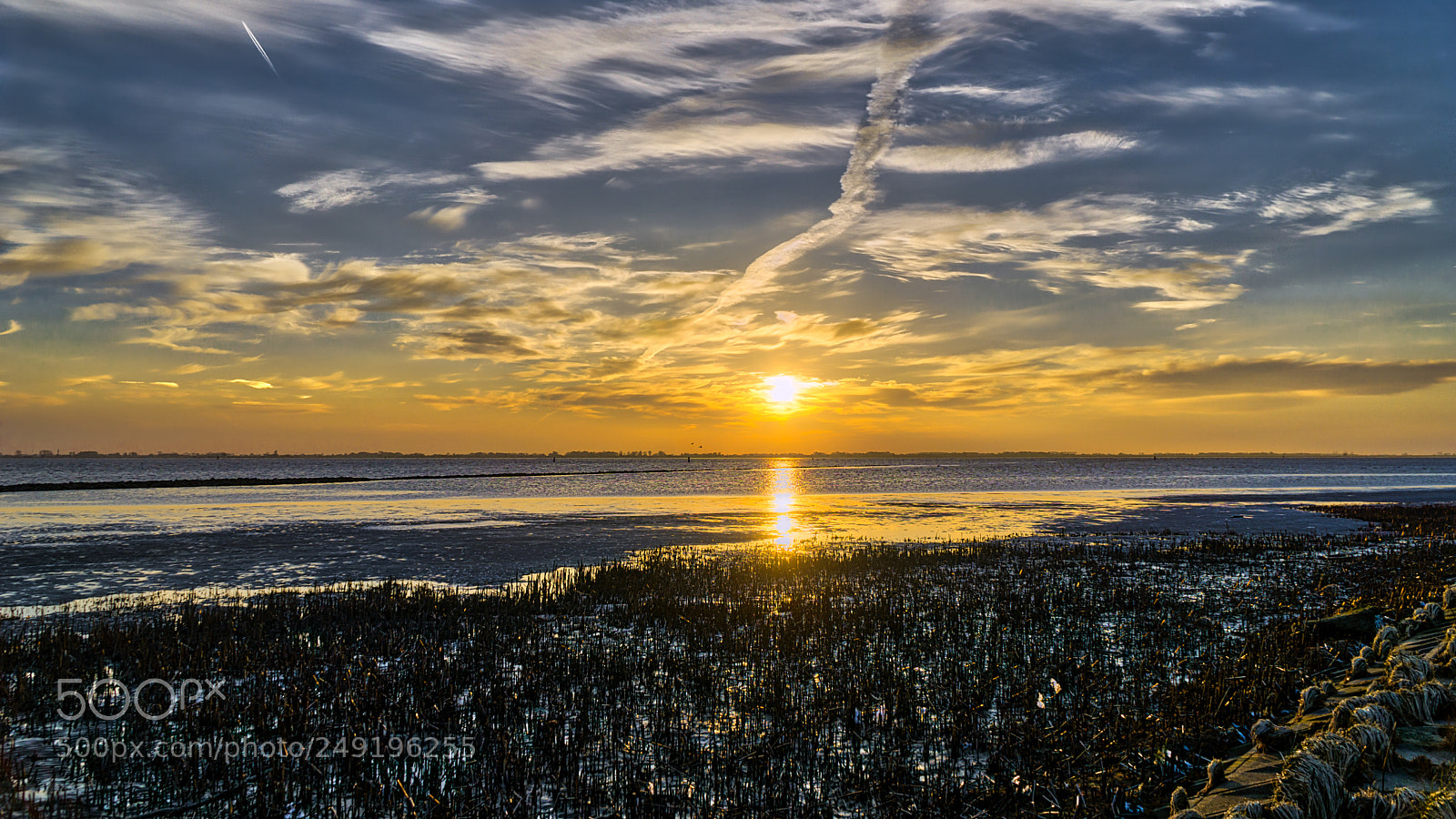 Sony a6000 sample photo. Cold winter sun photography