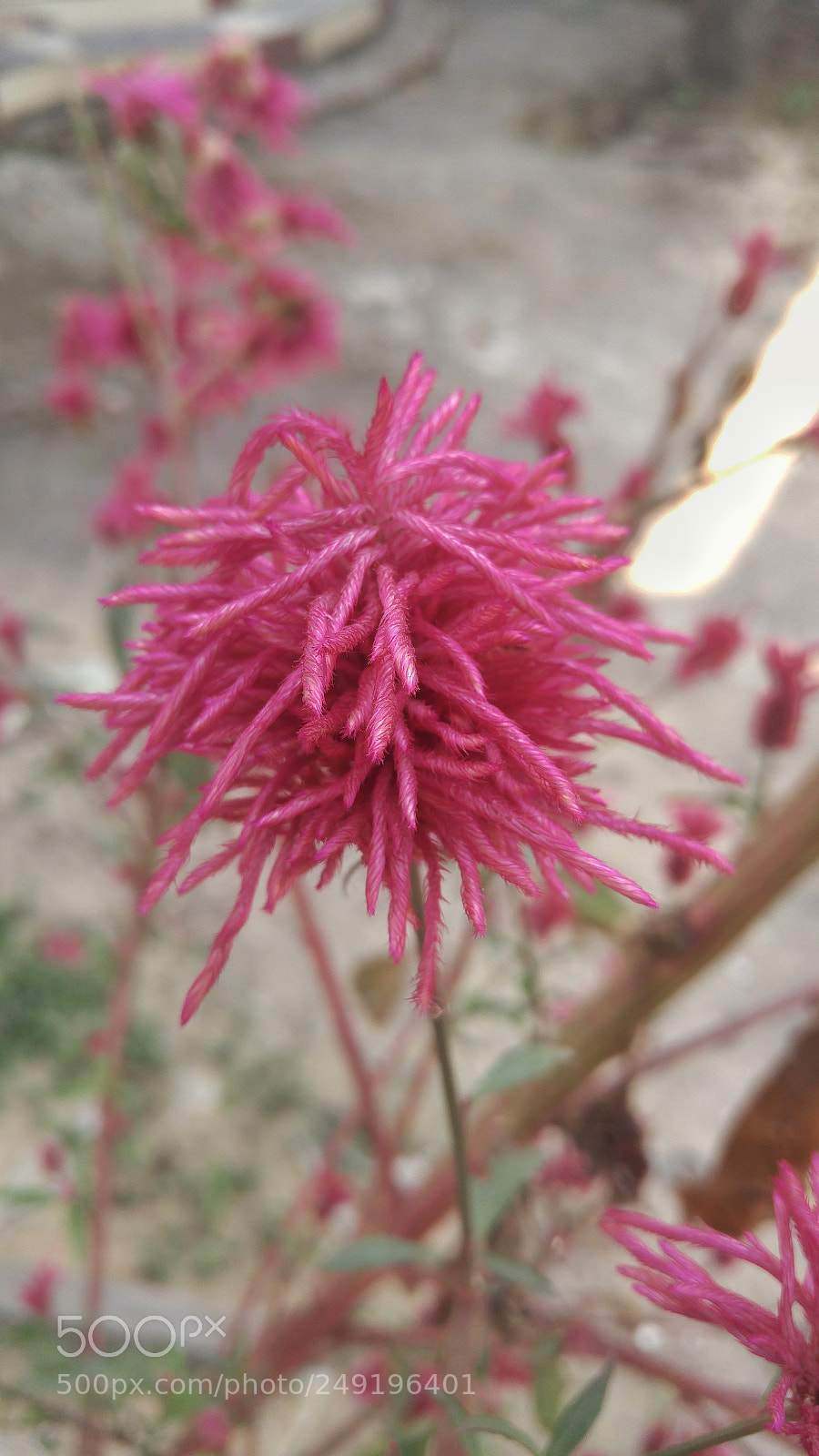 LG H818P sample photo. Colors............ photography