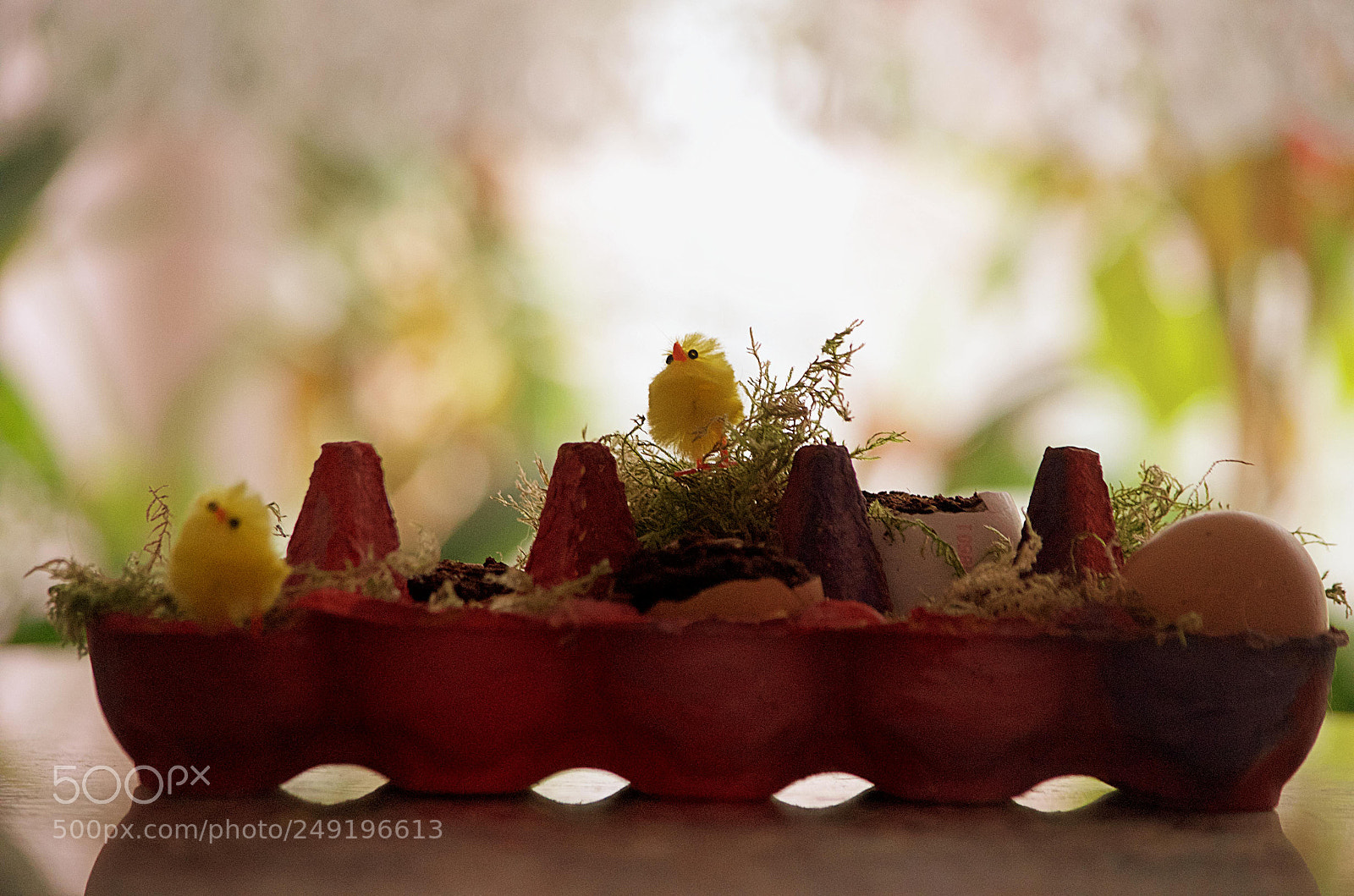 Nikon D5100 sample photo. Happy eastern? photography