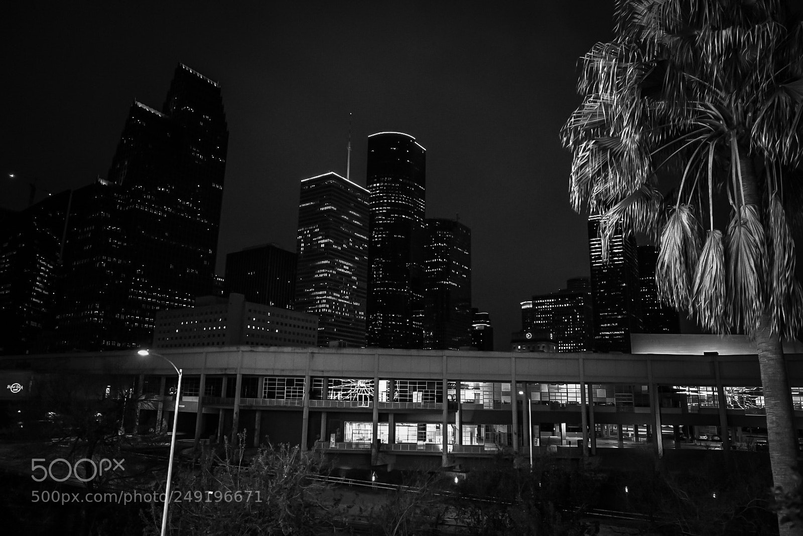 Sony a7R II sample photo. A7rii shot with 24-70mm photography