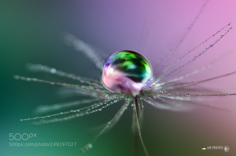 Nikon D7000 sample photo. Dark pastel photography