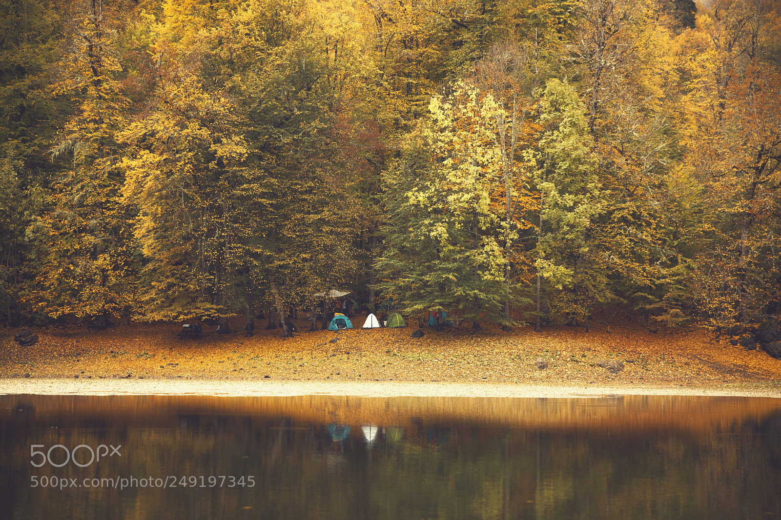 Canon EOS 5D Mark IV sample photo. Bolu/yedigöller 2017 photography