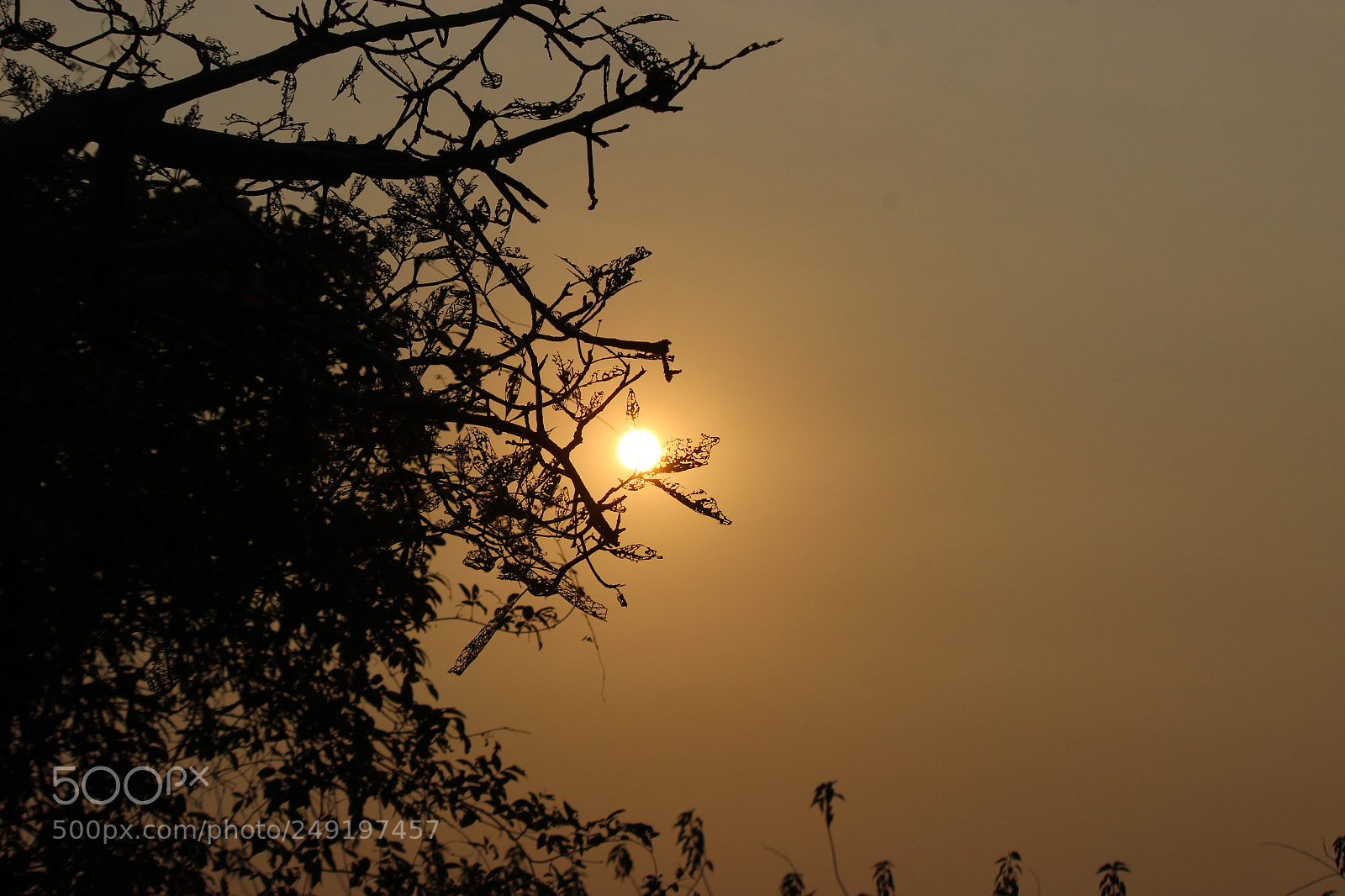 Canon EF-S 55-250mm F4-5.6 IS II sample photo. Untitled photography