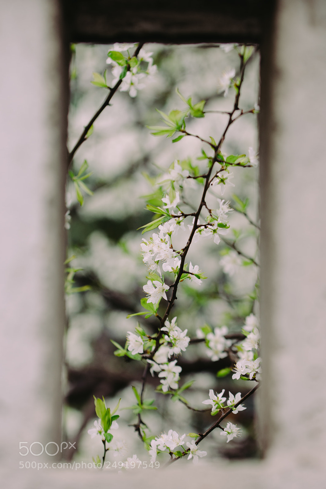 Nikon D7200 sample photo. Untitled photography