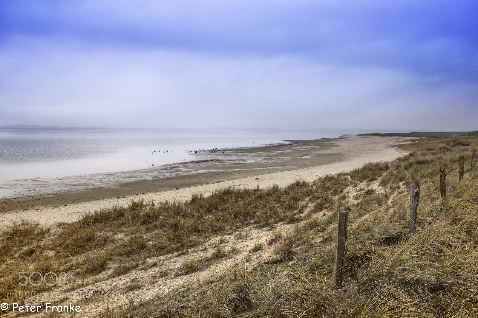 Canon EOS 7D Mark II sample photo. Sylt ellenbogen photography