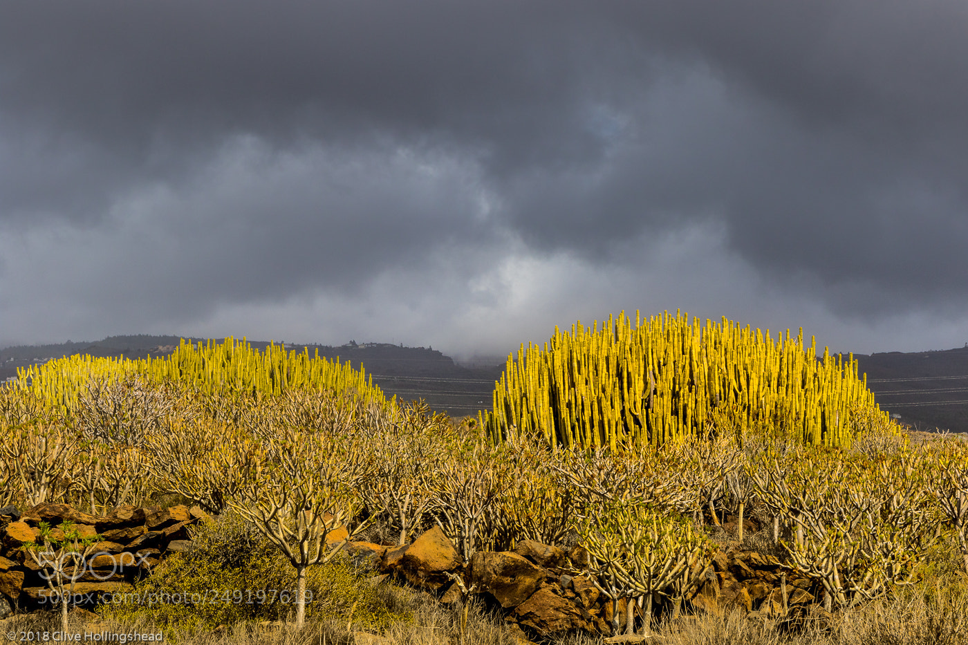 Canon EOS 7D Mark II sample photo. Ominous sky over the photography