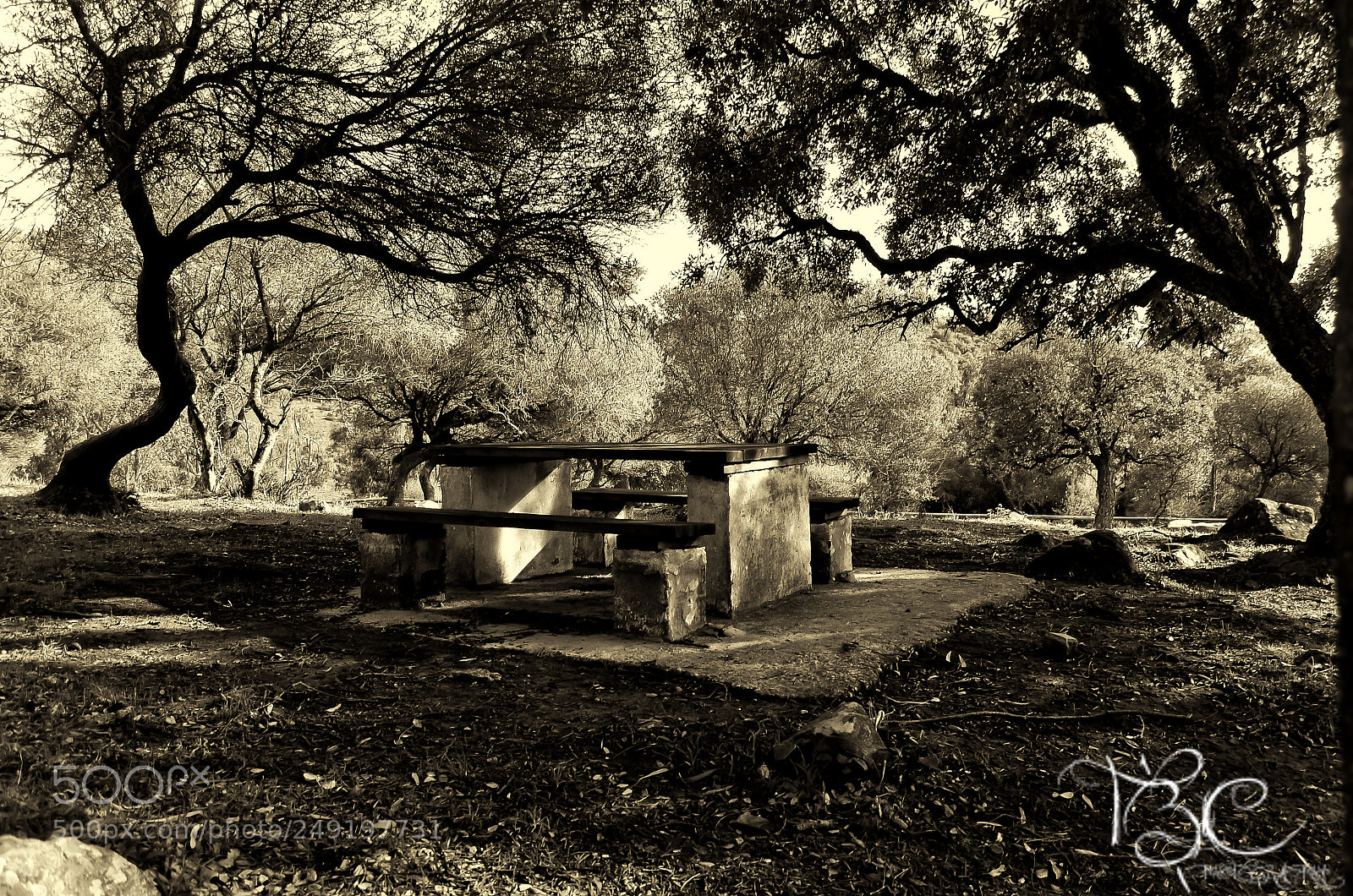 Nikon D5100 sample photo. Naturaleza... photography