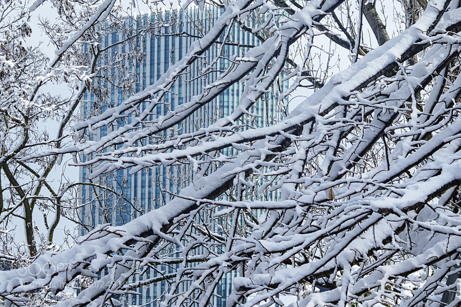 Panasonic Lumix DC-ZS70 (Lumix DC-TZ90) sample photo. Ice palace photography