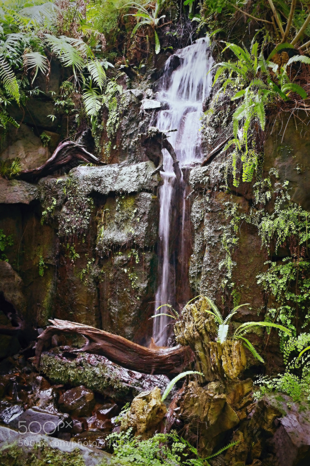 Nikon D5300 sample photo. Waterfall in greenhouse of photography