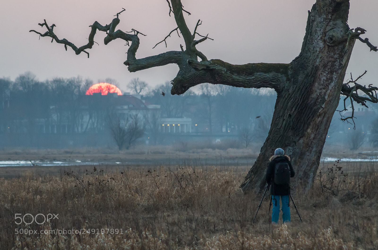 Pentax K-50 sample photo. Beautiful moment photography