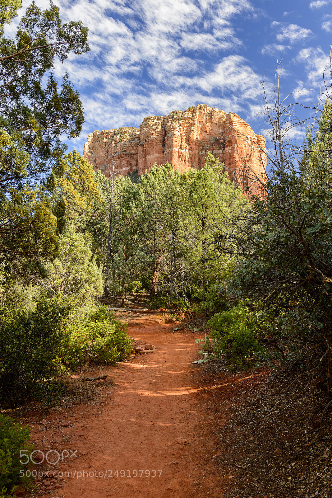 Nikon D800 sample photo. Courthouse butte photography