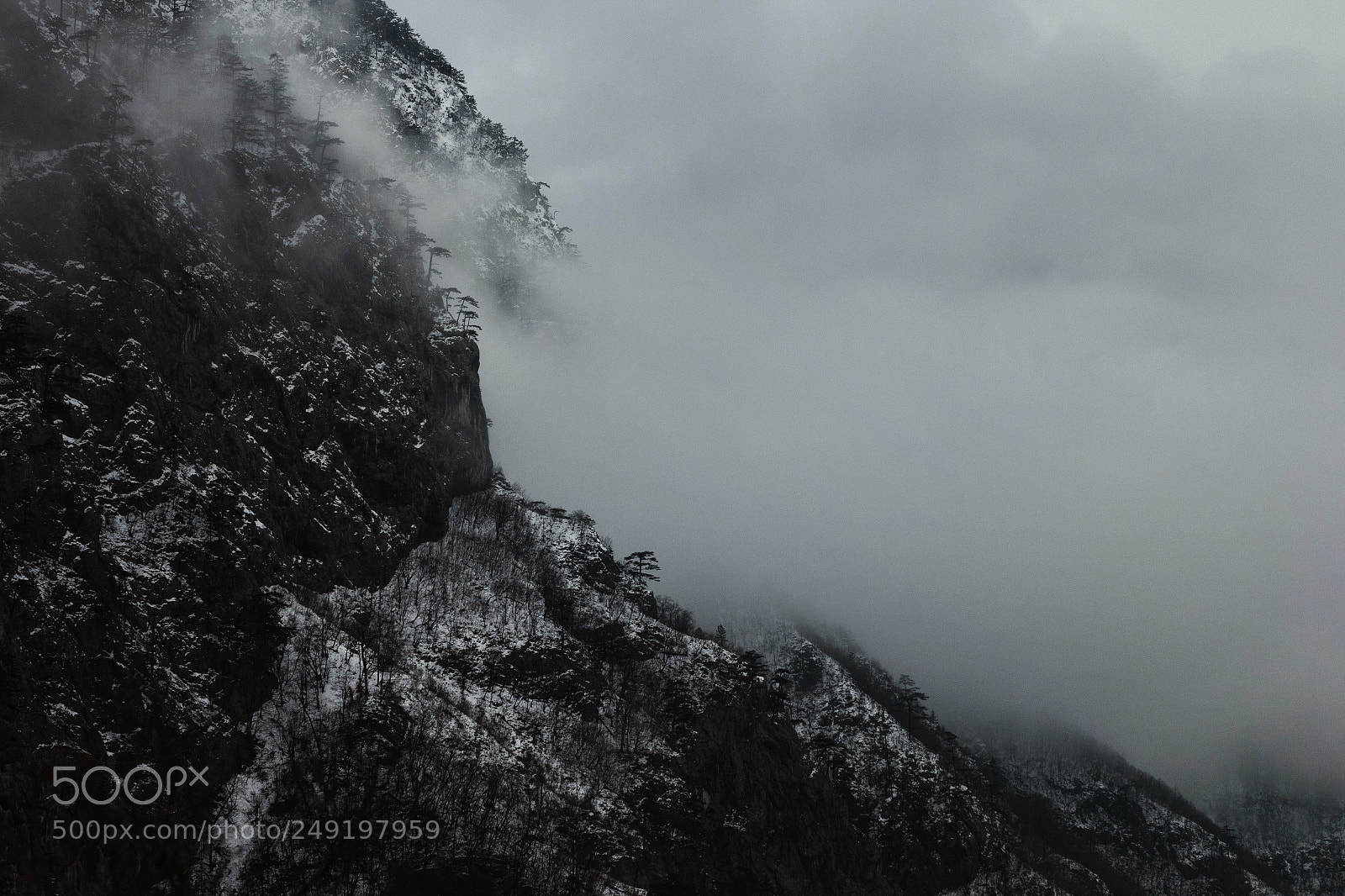 Canon EOS 60D sample photo. Fog wave photography