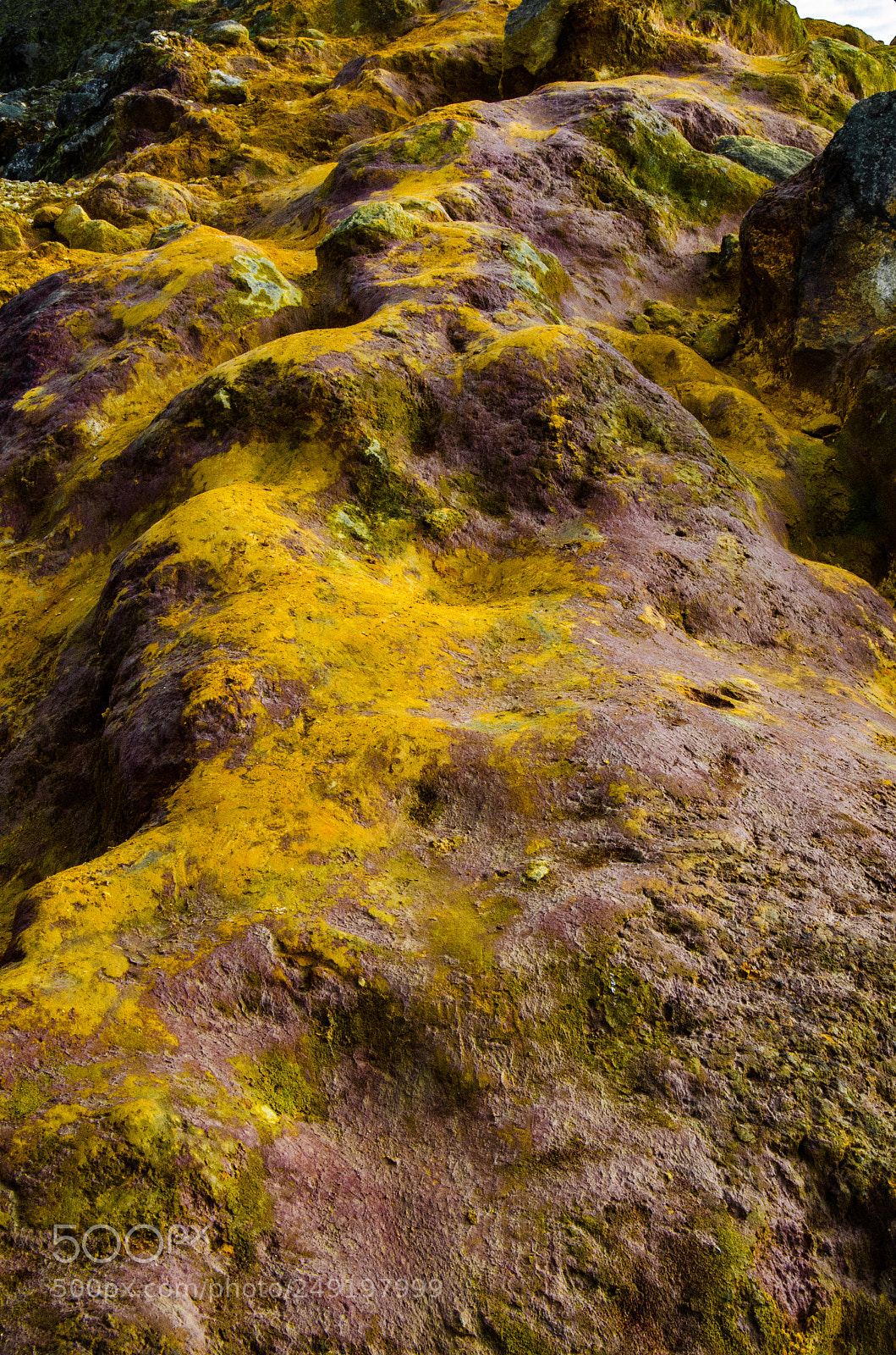 Nikon D5100 sample photo. Rocky photography