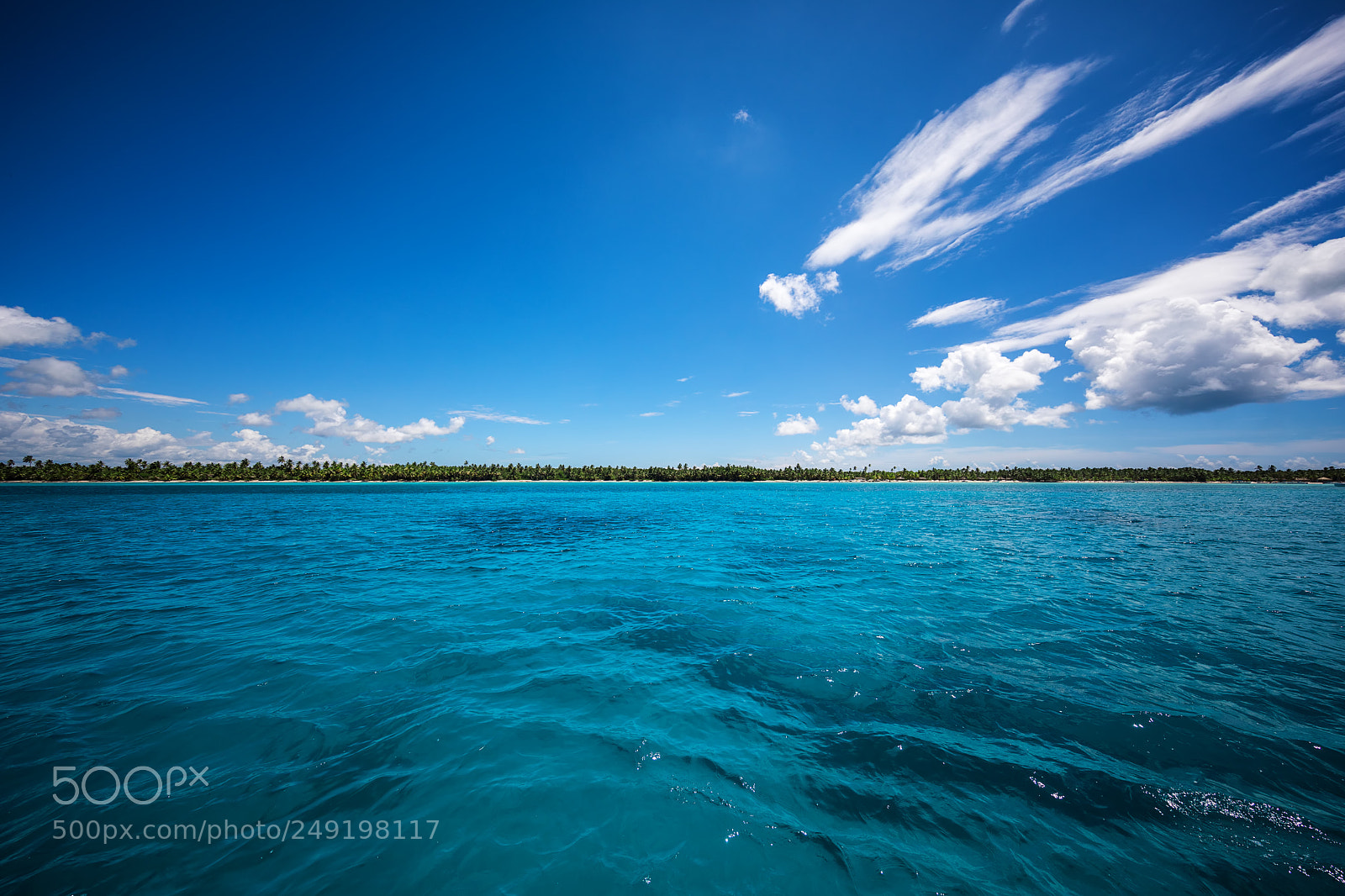 Canon EOS 5D Mark IV sample photo. White fluffy clouds blue photography