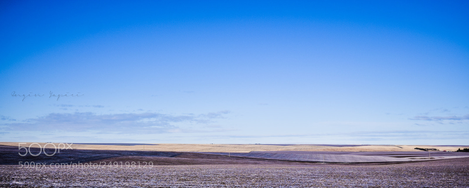 Nikon D3300 sample photo. Fields photography