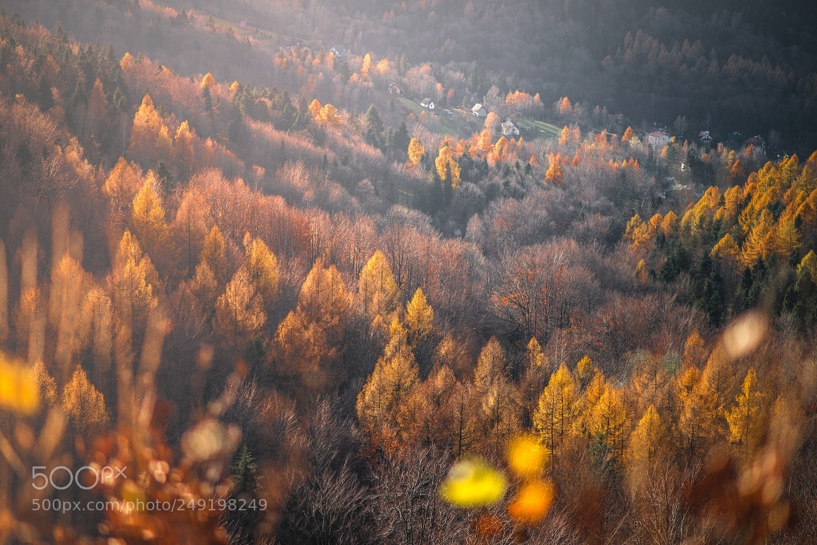 Nikon D800E sample photo. Gold sunday photography