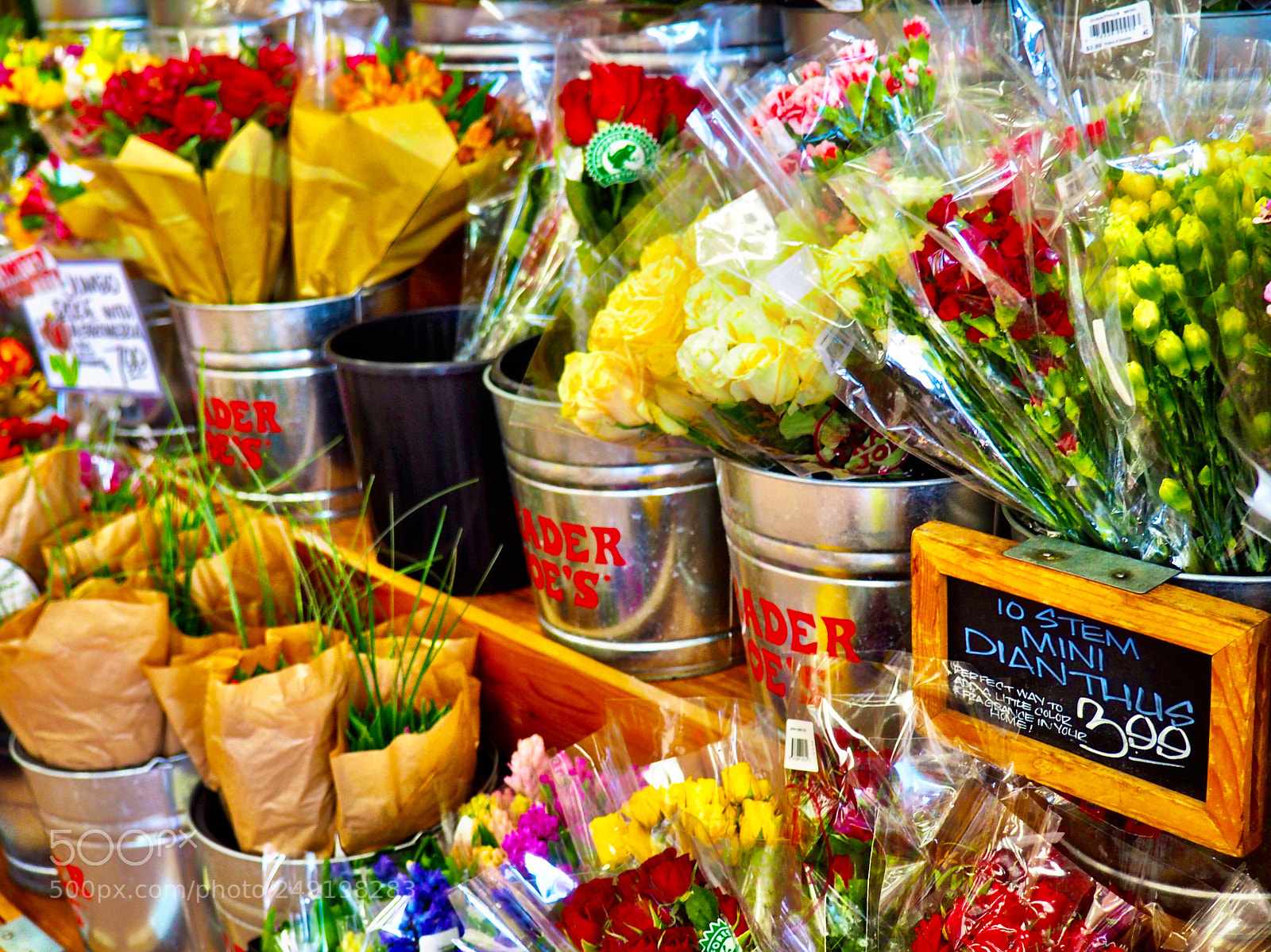 Olympus OM-D E-M10 II sample photo. Trader joe’s photography