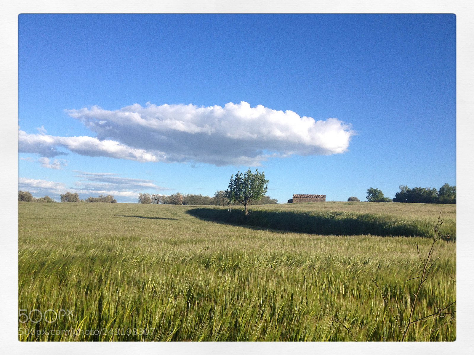 Apple iPhone 4S sample photo. La sombra de la photography