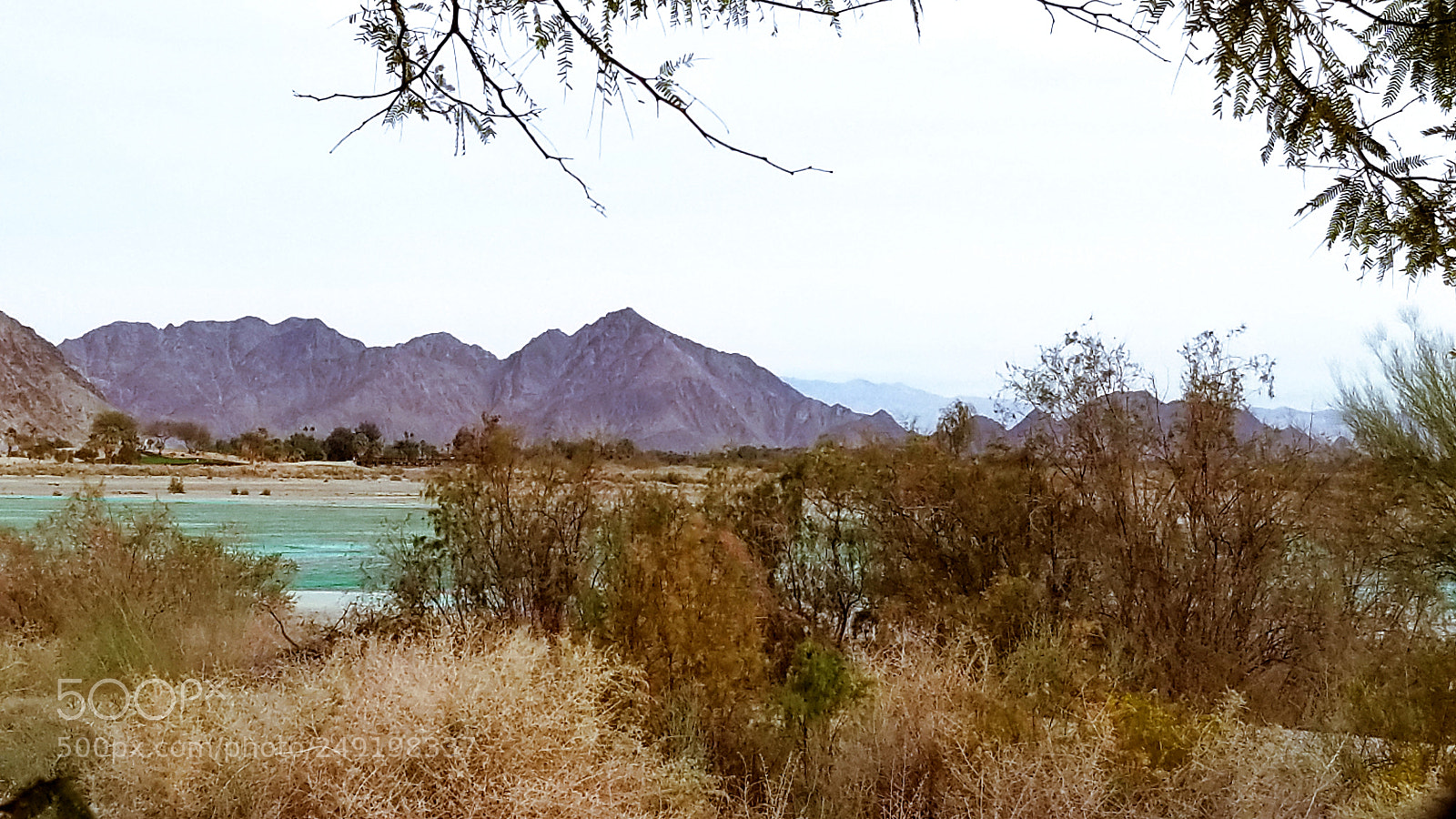 Samsung Galaxy S8+ sample photo. Untitled photography
